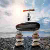 linux运﻿维​面​试‍技‌巧​